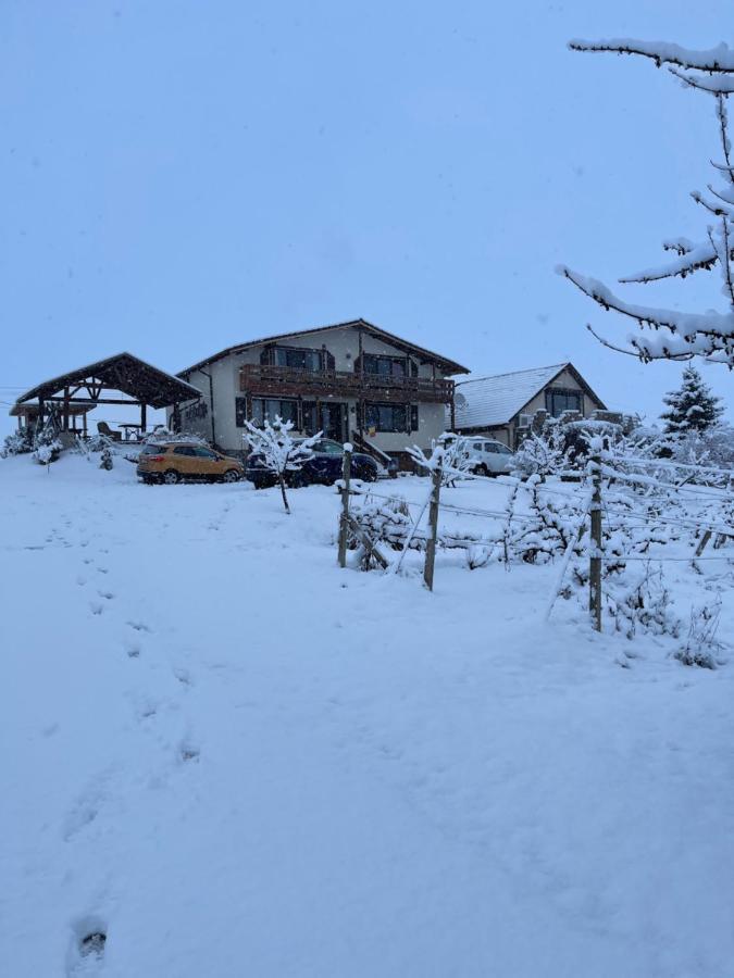 Wineyards Salin Bed & Breakfast