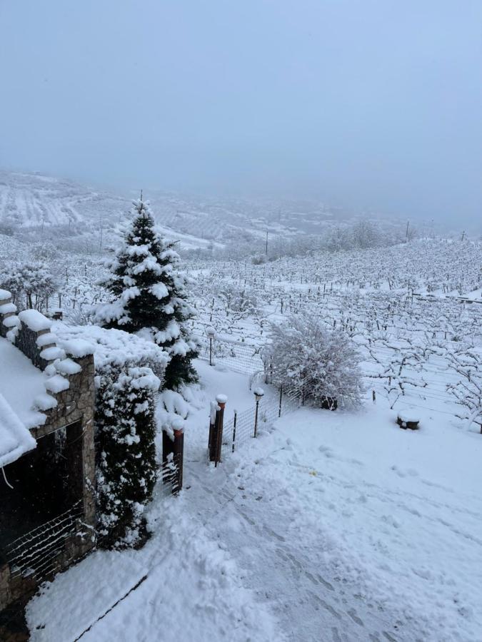 Bed & Breakfast Wineyards Salin