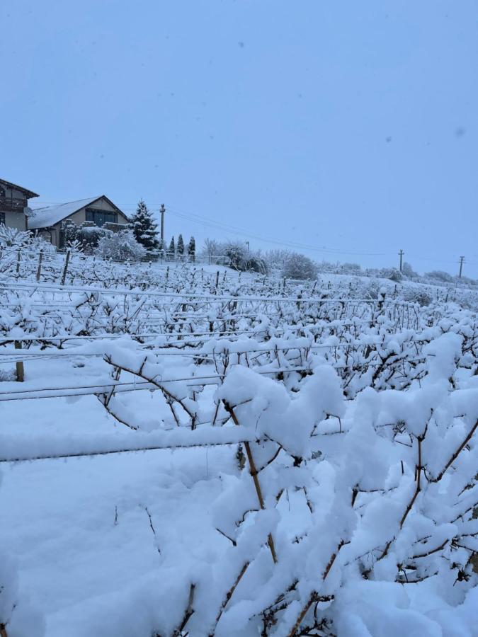 Wineyards Salin Bed & Breakfast Turda