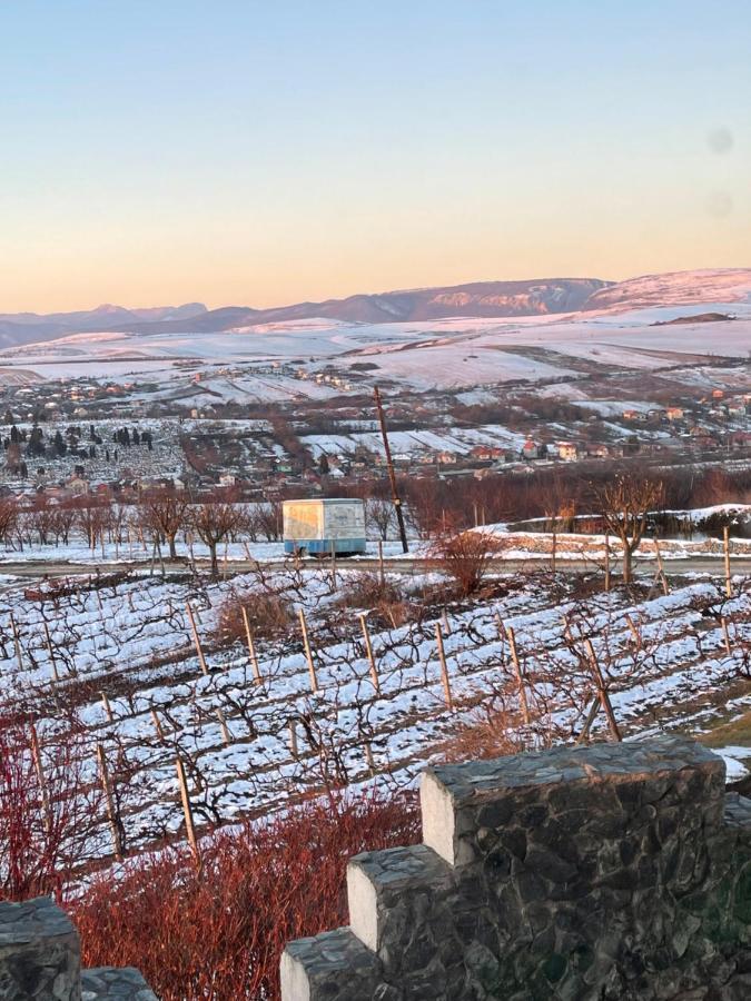 Bed & Breakfast Wineyards Salin 4*