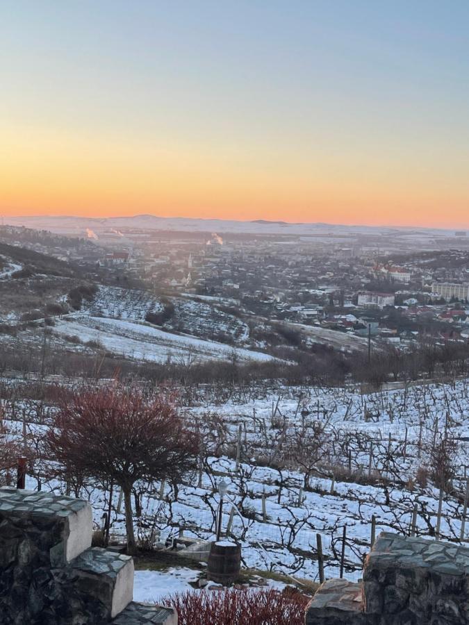 Bed & Breakfast Wineyards Salin